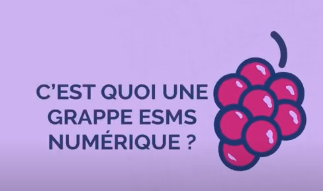 Une vidéo pour comprendre la constitution d’une grappe