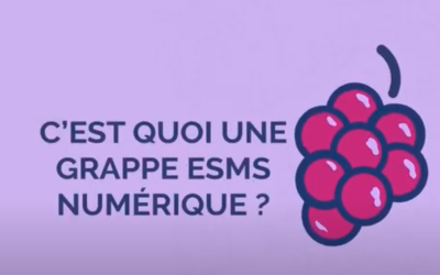 Une vidéo pour comprendre la constitution d’une grappe