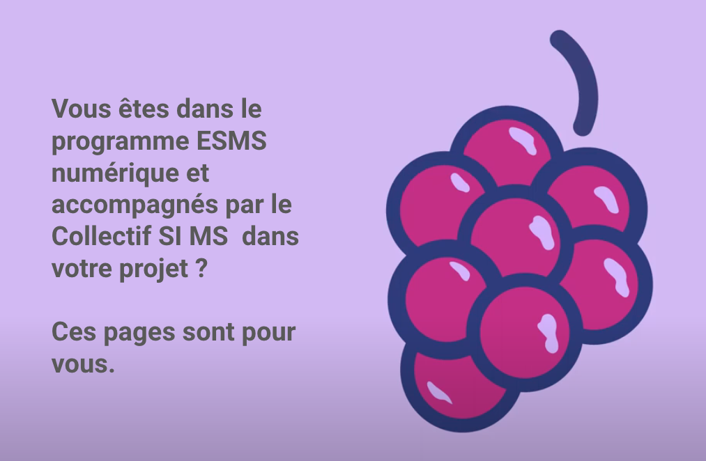 Accompagnement des grappes